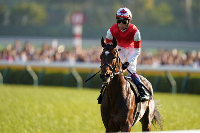 Canadian Jockeys to Watch This Exciting Racing Season
