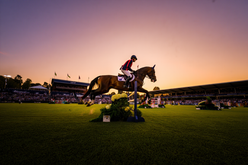 Rising Horses to Watch in Global Competition Featured Players